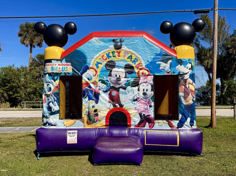 15x15 Disney Bounce House